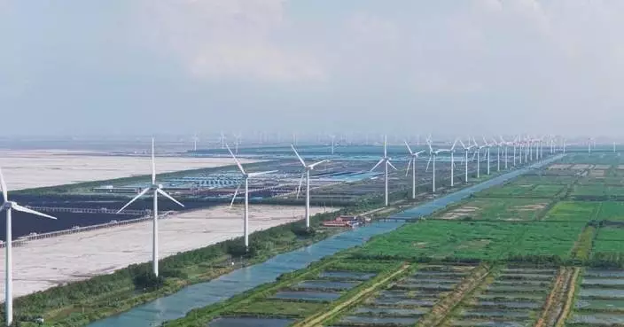 New energy boom drives up China’s industrial upgrade