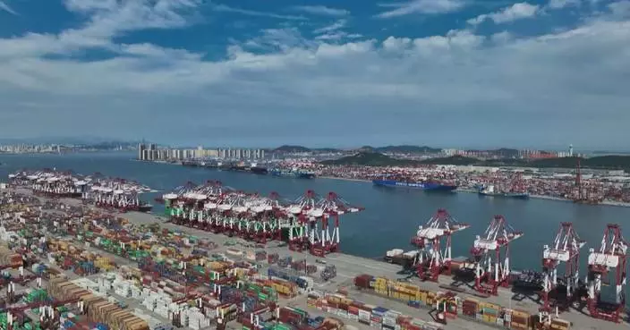 China will remain most stable engine of global economy: FM