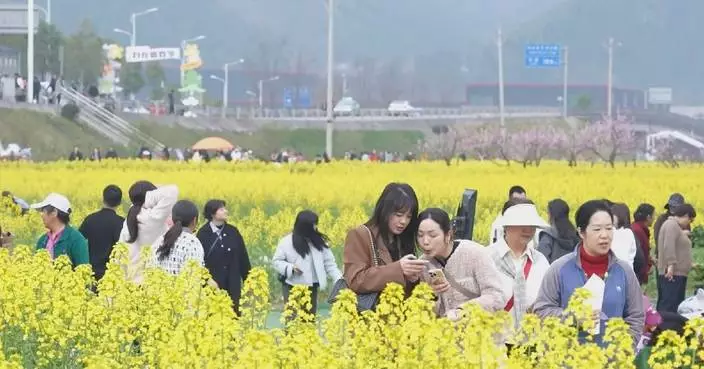 Blooming rapeseed fields boost tourism in Sichuan