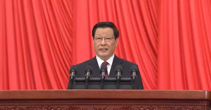 China to further crack down on telecom fraud crimes: top prosecutor