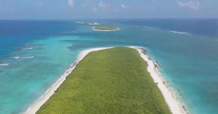 Conservation efforts in Sansha restore thriving local ecosystems