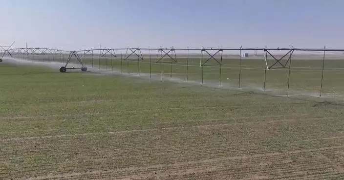 Farmers across China embrace technologies from irrigation to sale