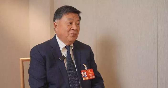 Hong Kong can play key role in enabling Chinese brands to go global: CPPCC member