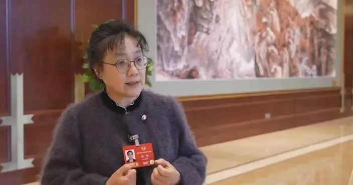 National political advisor hails draft law as “Chinese approach” to ethnic unity