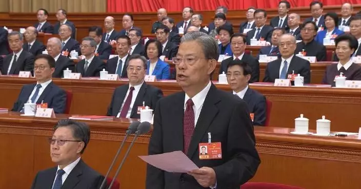 China's top legislator urges efforts to provide legal guarantee for implementing new five-year plan