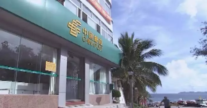 NPC deputies discuss ways to improve veterans' resettlement, employment