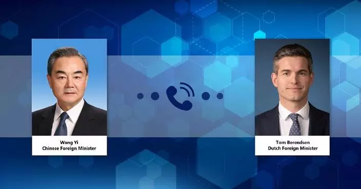 China-Netherlands mutually beneficial cooperation in line with common interests: Chinese FM