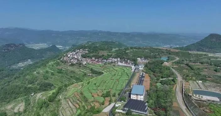 Proactive measures to promote agriculture, rural areas, rural residents in 2026-2030: expert