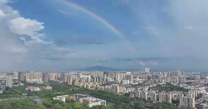 China's 25% non-fossil energy target by 2030 reflects accelerated green transition: expert