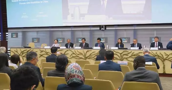 China shares insights on poverty reduction for disabled people at UN seminar in Rome