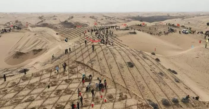 China to extend "green wall" in battle against desertification