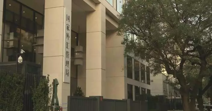 China's forex market remains stable in February