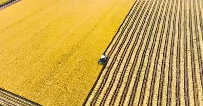 China issues pilot work guideline for rural land contracts extension