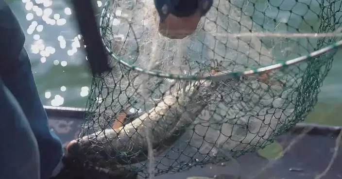 Spring foods boost seasonal consumption across China