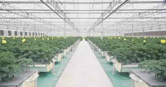 Technology helps farm save water in eastern China