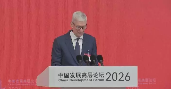 Global CEOs eye opportunities arising from China's high-quality development