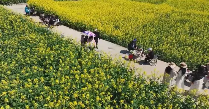 Rapeseed Flowers fuel spring tourism across China