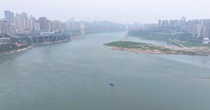 Decade-long efforts transform ecosystem along Chongqing section of Yangtze River