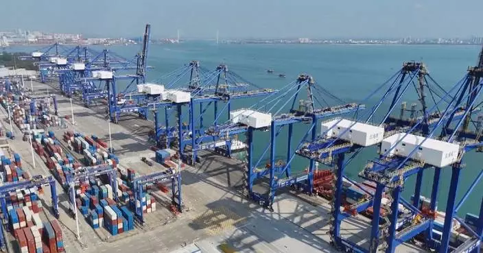 Hainan logs strong grade growth with BFA founding members in January-February period