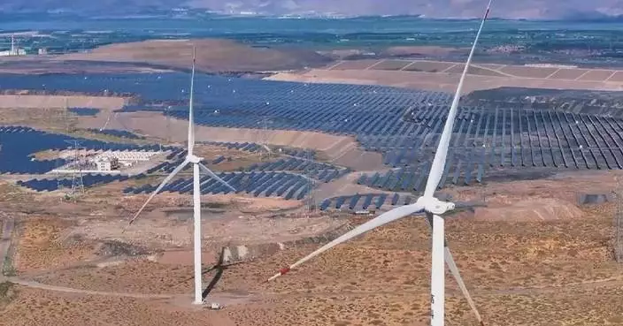 China’s green energy transition offers stable path forward amid global uncertainty: business leaders