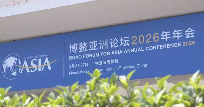 Economic experts, BFA official call for strengthening multilateralism in unstable world