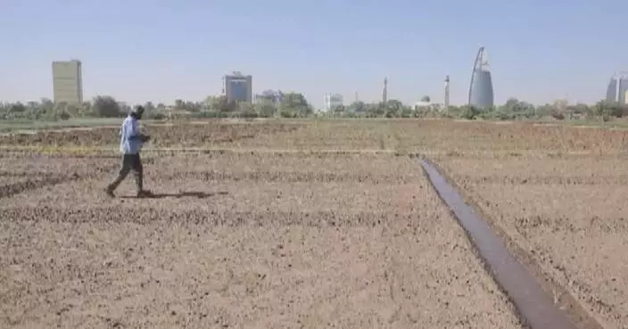 Rising costs of fertilizer threaten Africa’s food security