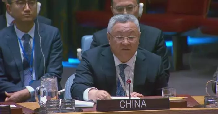 China urges comprehensive, lasting Gaza ceasefire at Security Council meeting