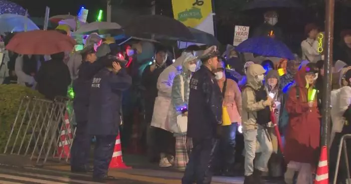 Thousands rally in Tokyo against constitutional revision, military buildup