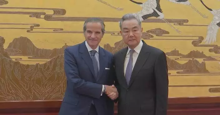 Chinese FM meets IAEA chief in Beijing
