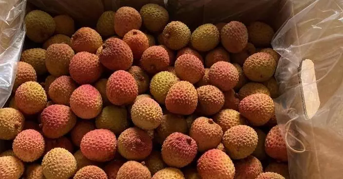 South Africa’s fruit export hit by US-Israeli war on Iran