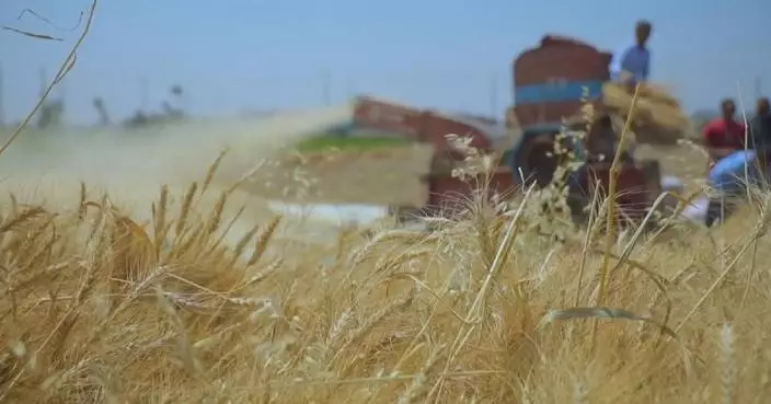 Egypt caps bread prices as Iran conflict hits supplies