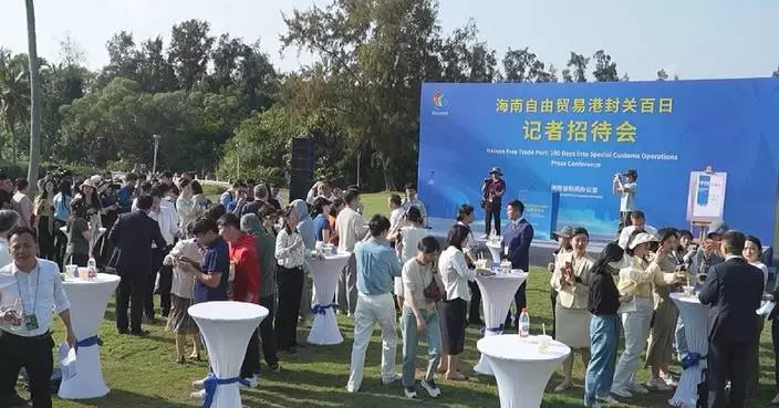 Hainan FTP reports milestone progress in 100 days of special customs operations