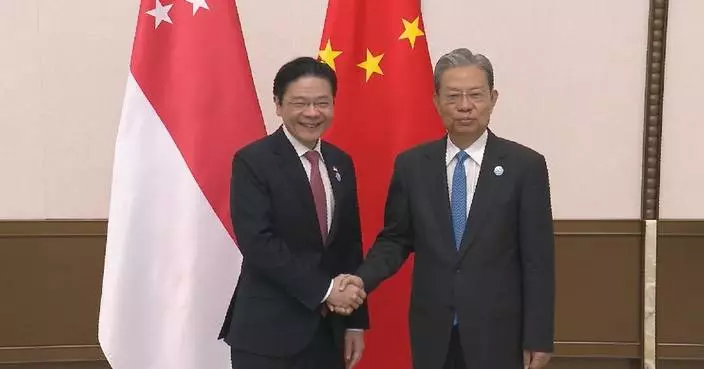 China's top legislator meets Singaporean prime minister on relations
