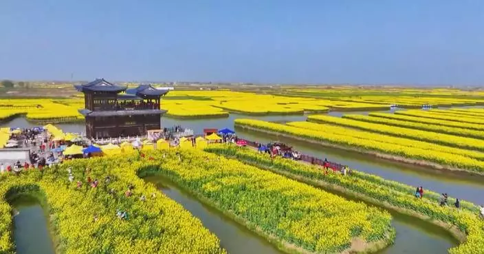 Rapeseed flowers bloom along rivers in east China