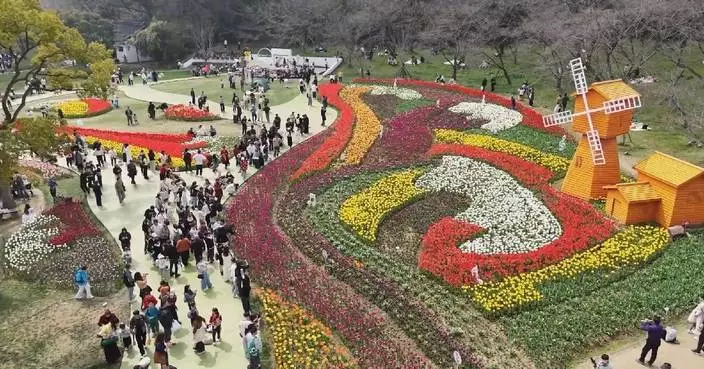 Spring blossoms transform China’s Suzhou into tourist hotspot