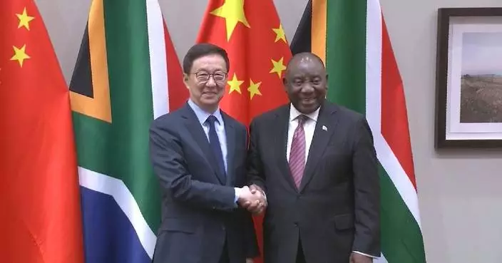 Chinese vice president visits South Africa