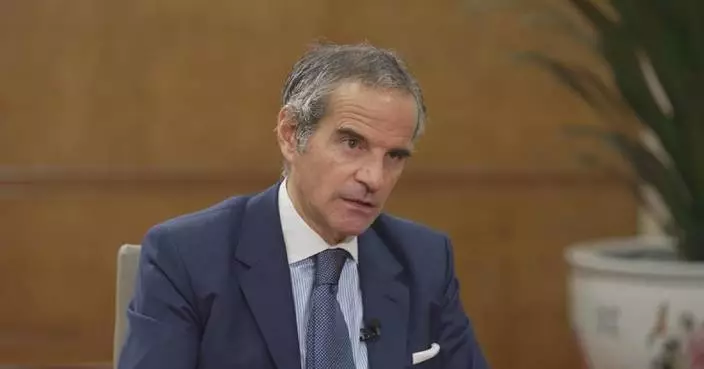 IAEA chief hails China's role in developing nuclear energy, application