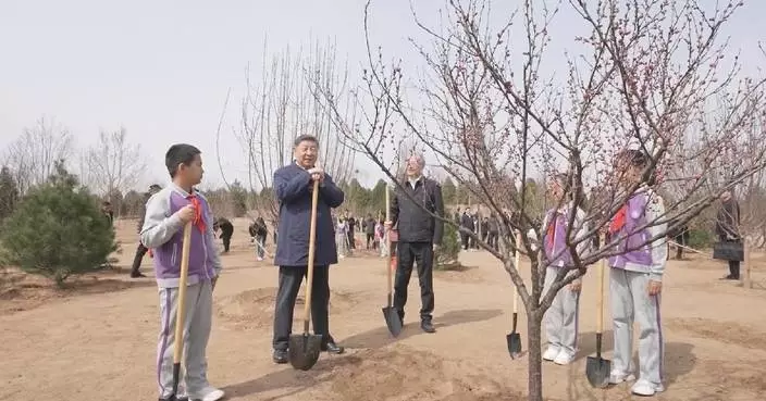 Xi urges mobilizing whole society in tree-planting efforts