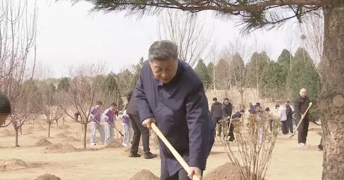 Xi joins Beijing residents to plant trees as China looks to a greener future