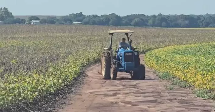 Middle East conflicts drive up fertilizer prices, threatening wheat growing in Brazil