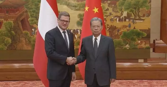 China’s top legislator meets high-level Austrian delegation