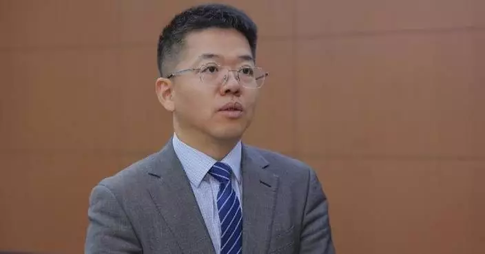 Chinese scholar justifies countermeasures against Japanese lawmaker