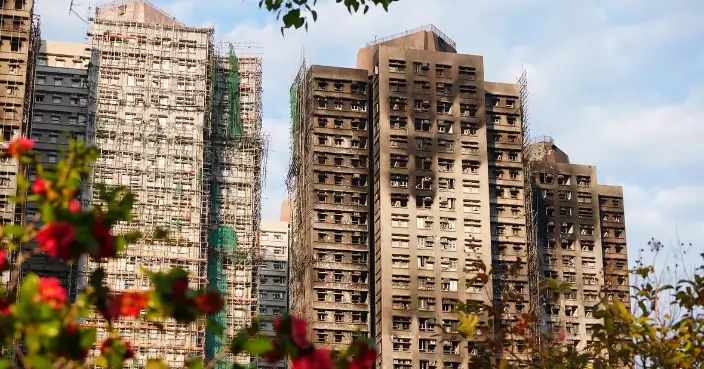 Government Launches Hotline for Wang Fuk Court Housing Arrangements Starting Today