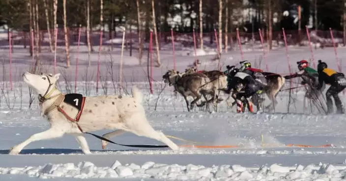 Photos show Salla Porocup reindeer racing in Finland