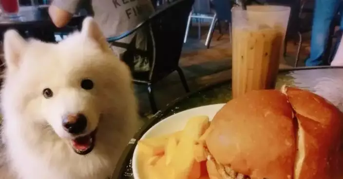 Food Business (Amendment) Regulation 2026 Has Been Gazetted