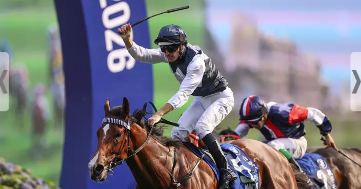 Mark Newnham, Hugh Bowman secure record-breaking BMW Hong Kong Derby success with Invincible Ibis