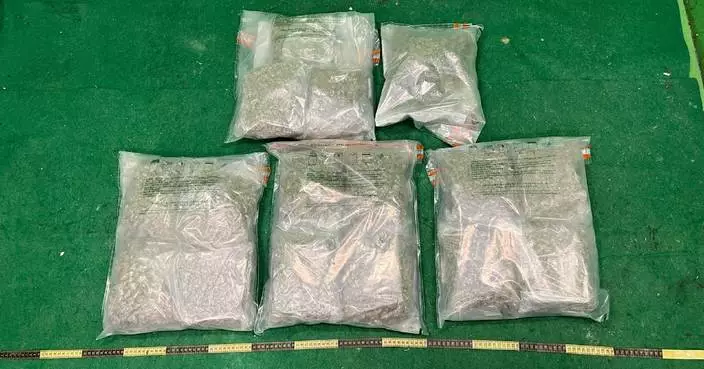 Hong Kong Customs Seizes 8 kg of Cannabis Buds, Arrests Two Passengers from Bangkok