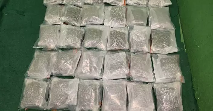 Hong Kong Customs Seizes 29kg of Cannabis, Arrests Two Men for Drug Trafficking at Airport