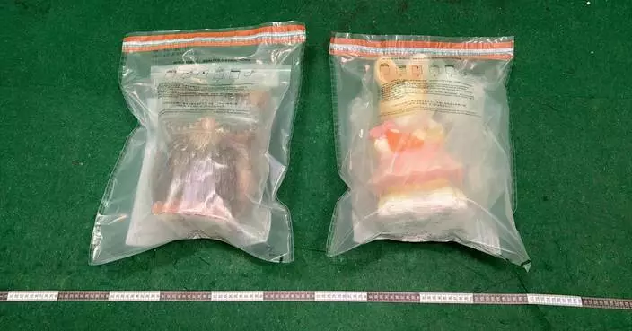 Hong Kong Customs Seizes 11.4kg of Drugs, Arrests Three in Recent Operations at Airport and Ho Man Tin.