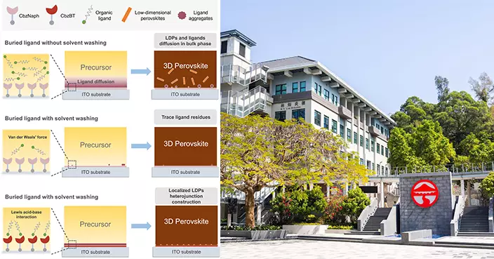 Lingnan University Scholars Co-Develop Record-Breaking Interfacial Structure for Highly Efficient Tandem Solar Cells, Published in Nature Communications